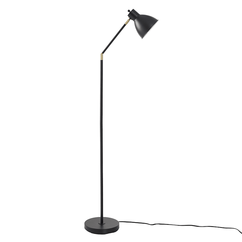 Thew 65 in. Brass Floor Lamp with Black Shade