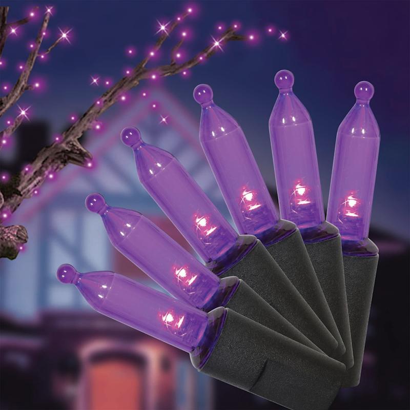 70-Count LED Purple Mini Lights | At Home