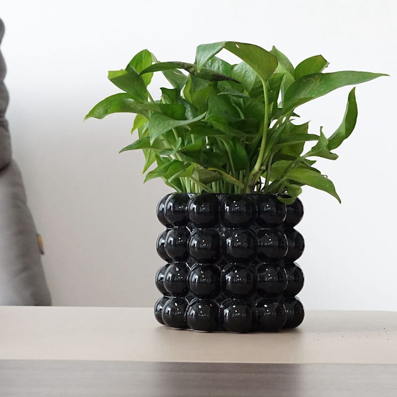 Crosby St. Indoor Black Bubble Ceramic Planter, Medium
