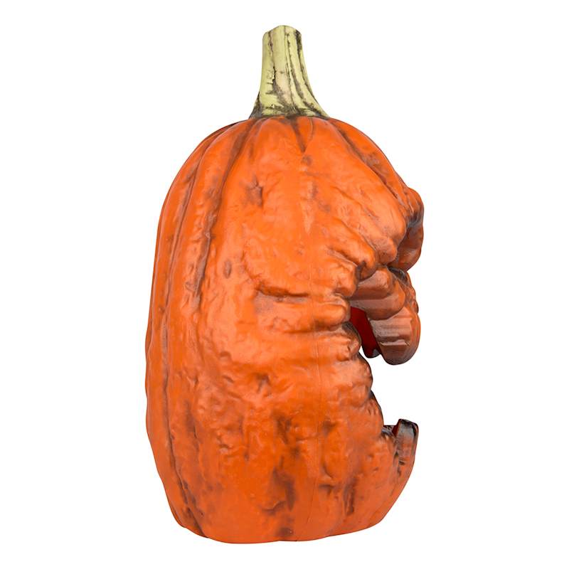 Rotting JackOLantern At Home
