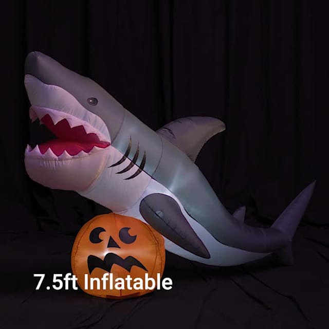 Video of Animated Shark with Sound Effects Halloween Inflatable, 7.5' Wide'