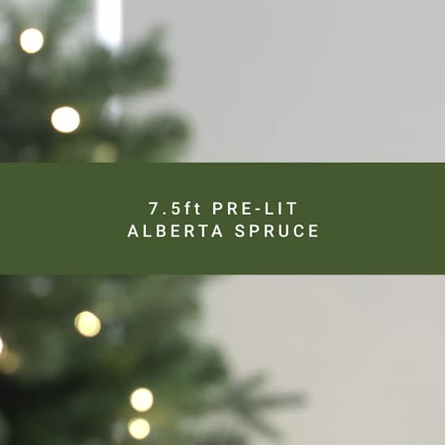 Video of (B34) Pre-Lit Alberta Spruce Tree, 7.5''