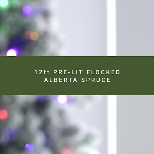Video of (D4) Pre-Lit Flocked Alberta Spruce Tree, 12''