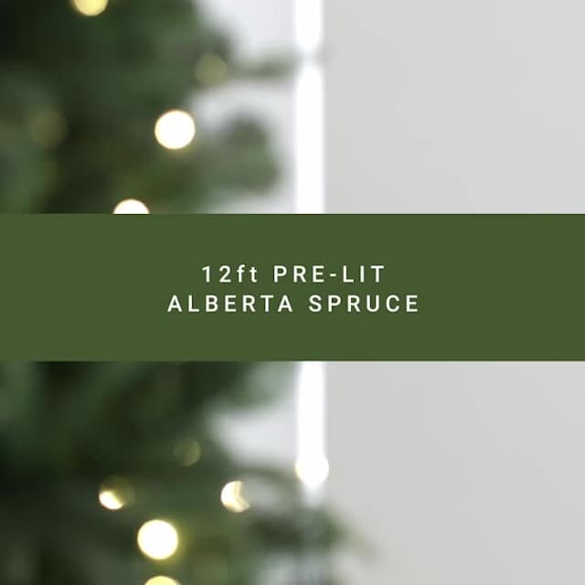 Video of (D2) Pre-Lit Alberta Spruce Christmas Tree, 12''