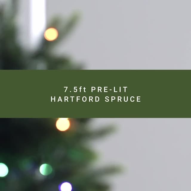 Video of (B14) Pre-Lit Hartford Spruce Christmas Tree, 7.5''