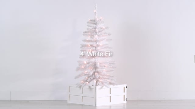 Video of (A13) Pre-Lit LED White Fir Christmas Tree, 4''